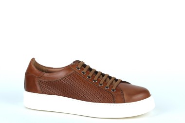 ANTICA CUOIERIA SNEAKER 20808