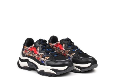 ASH SNEAKER ADDICTION