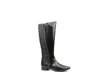 CLAIRE DELEVIGNE 53780