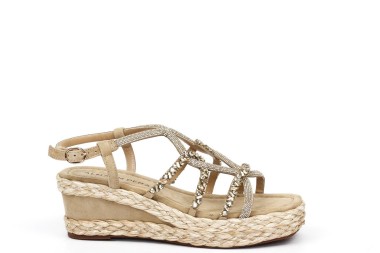 WEDGE V241012