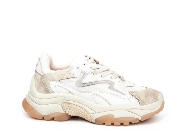 SNEAKER ADDICT