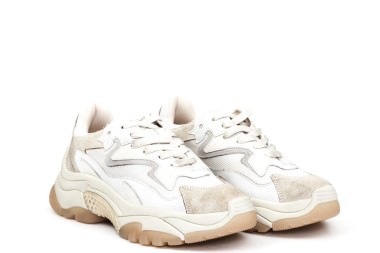 SNEAKER ADDICT