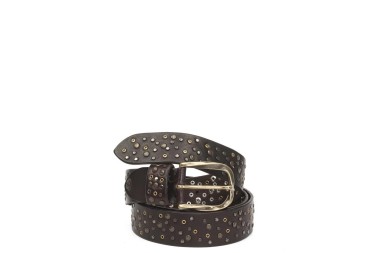 BELT PV2222
