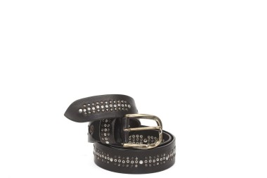 BELT PV2221
