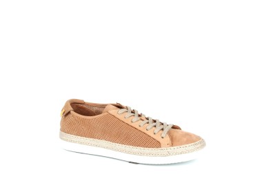 BARRACUDA SNEAKER BU2953A